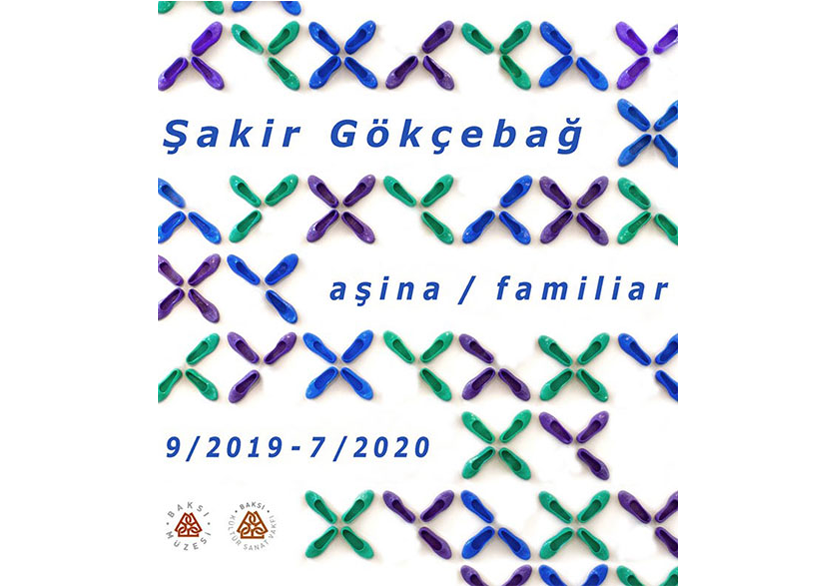 AŞİNA ŞAKİR GÖKÇEBAĞ